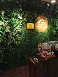 -小熊维尼高端儿童摄影(宝安旗舰店)