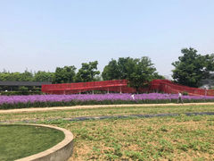 -杭州湾海上花田景区