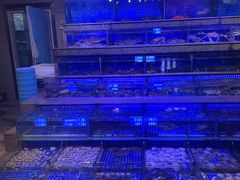 -青蓬蒸汽海鲜·深圳老字号·团建聚会(壹方城店)