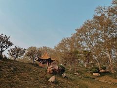 -河南省黄河迎宾馆