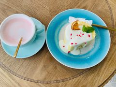 -共舞时光猫咖·狗咖(新街口店)