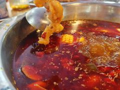 -金鼎雪山牦牛杂火锅(理县总店)