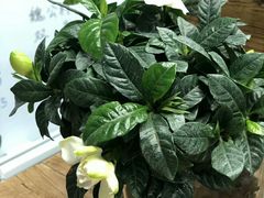 -全国人大会议中心