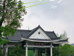-映月湖公园