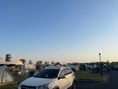 -春花秋色城市公园