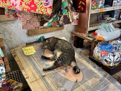 -槟城街头艺术街区