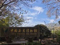 -中国茶叶博物馆(双峰馆区)