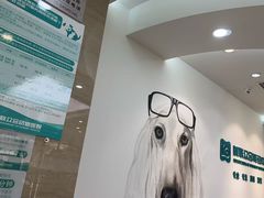 -美联众合动物医院·24h转诊中心