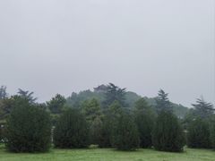 -茂陵博物馆