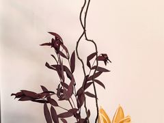 -合肥悦城融侨里生活广场