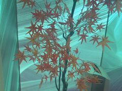 -水云空涧·沐足·采耳·按摩·SPA影院(琶洲店)