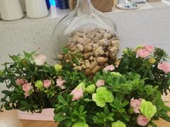 -春树下·树屋花房西餐厅(罍街AS1980店)