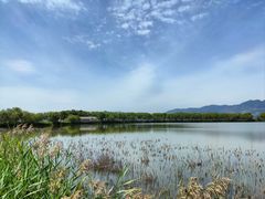 -野鸭湖国家湿地公园