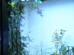 -家烧面馆【南山路知名经典面食】