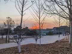 -北京西山国家森林公园