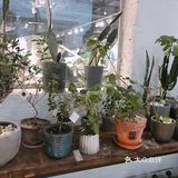 外面是巧克力，脆脆的，里面是香蕉馅