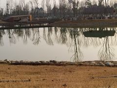 -白鹭湾湿地公园