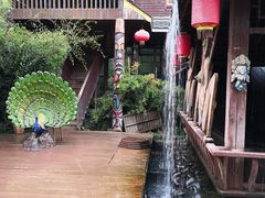 -呀路古热带植物园