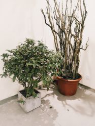 -康颜SPA自然疗愈皮肤管理中心