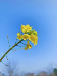 -可可天空农场(中大店)