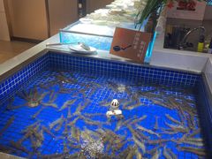 -腾阁自助餐厅(朝林广场店)