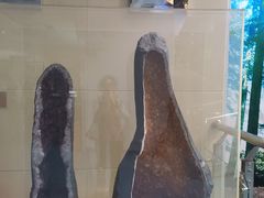 -延庆地质公园博物馆