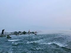 -深圳湾公园(南山区)