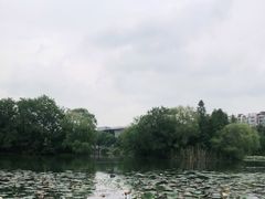 -新江湾城公园