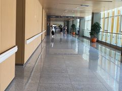 -佛山市妇幼保健院(新城院区)