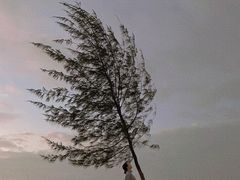 -白沙门生态公园