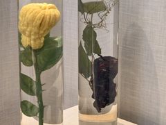 -广东中医药博物馆