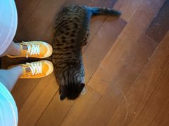 -云端咖啡私房店(河松街店)