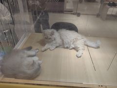 -丽达购物中心(崂山店)