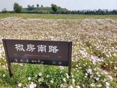 -汉长安城未央宫国家考古遗址公园