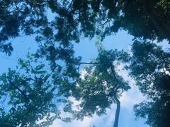 -中山公园(石岐街道)