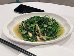 -粤珍轩·家宴·广式茶点(新城广场店)