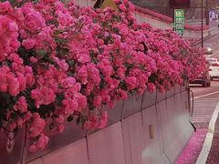 -太二酸菜鱼(金沙印象城店)