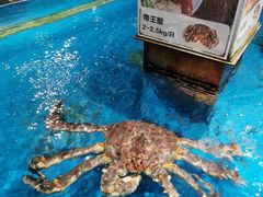 -盒马鲜生(悦峰店)