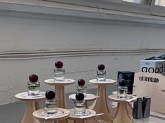 -白噪音White Noise·798概念店