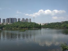 -重庆彩云湖湿地公园