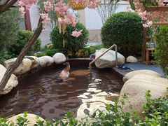-固安来康郡来康温泉