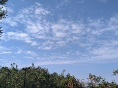 -青龙山国家森林公园