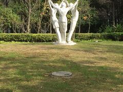 -上海市实验学校