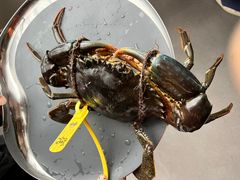 -Ministry of Crab•MOC(交子大道店)