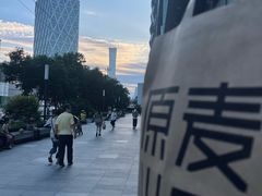 -远洋未来汇