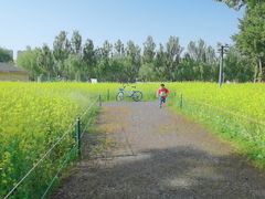 -长白岛森林公园