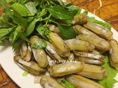 -金砂阿洲鱼册店