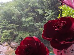 -黄山翡翠谷景区