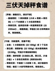 -Fundi张玉珊修身堂·indiba·BTL科技瘦身