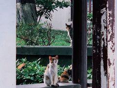 -南京中国近代史遗址博物馆(南京总统府)